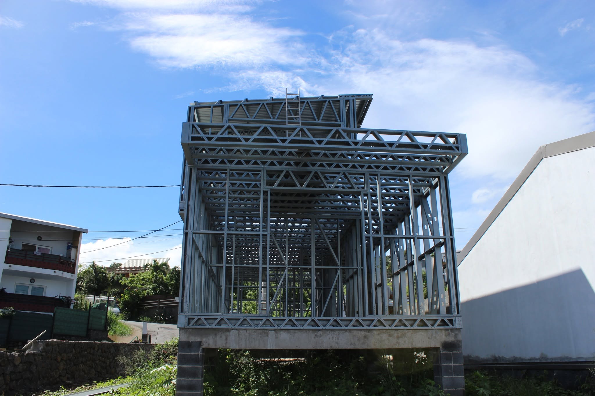 SCUP ECO